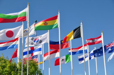 Dünyanın bayrakları