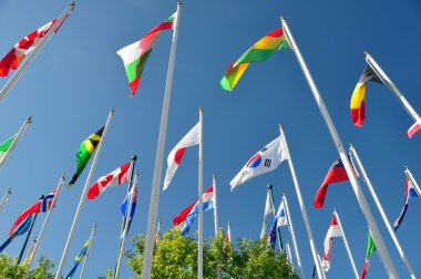Dünyanın bayrakları