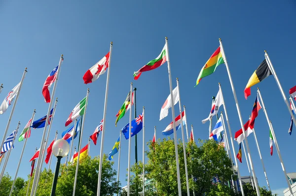 Zászló a világon — Stock Fotó