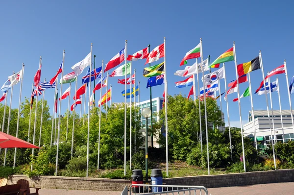 Flaggor i världen — Stockfoto