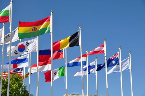 Flaggor i världen — Stockfoto
