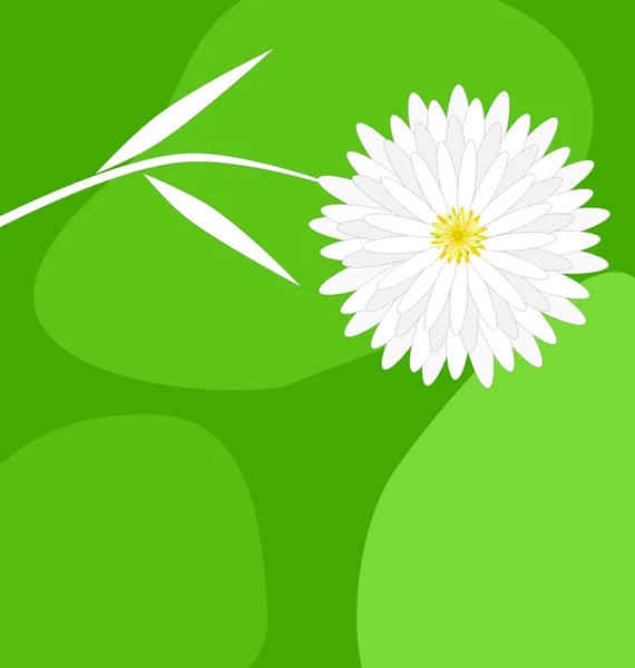 Daisy on a green background — Stock Vector