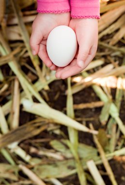 Egg in child's hand clipart