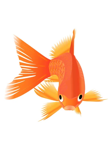 stock vector Goldfish. Vector illustration.