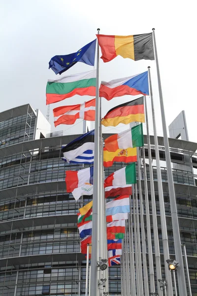 Прапори Європейського парламенту — стокове фото