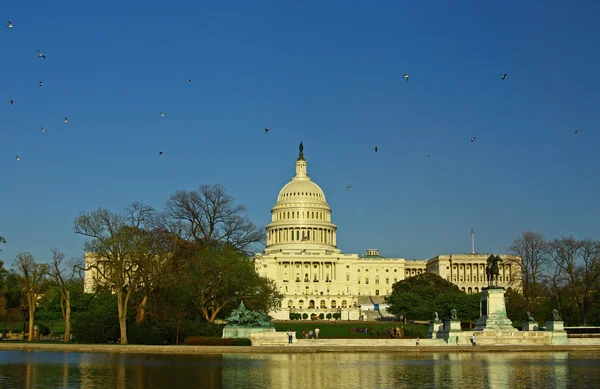 El Capitolio de Estados Unidos —  Fotos de Stock