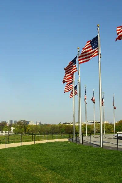 Americké vlajky kolem washington memorial — Stock fotografie