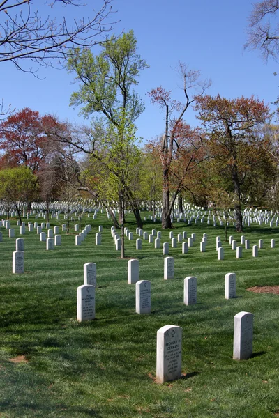 Cmentarz w Arlington — Zdjęcie stockowe