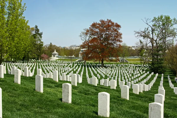 Cimitero di Arlington Fotografia Stock