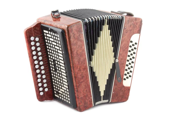 stock image Accordion