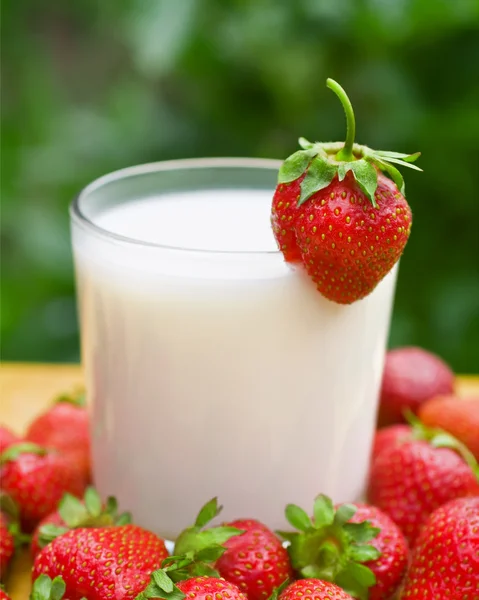 stock image Strawberries with milk