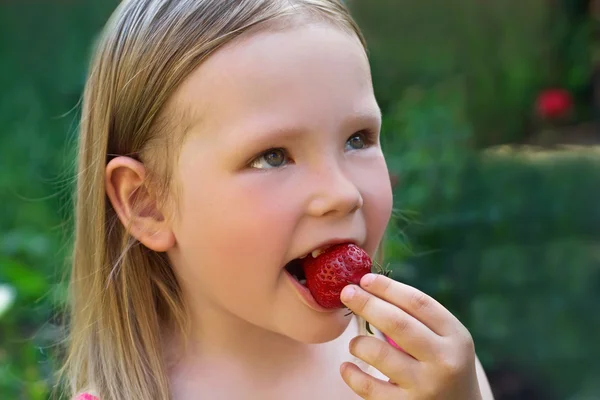 Ei lita jente med jordbær – stockfoto