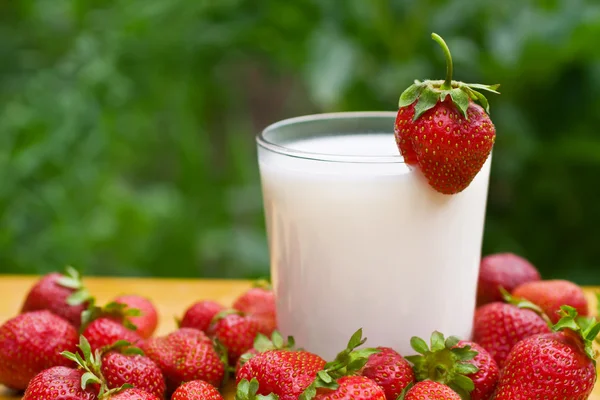 Stock image Strawberries with milk