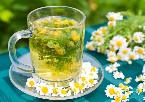 Chamomile tea — Stock Photo, Image