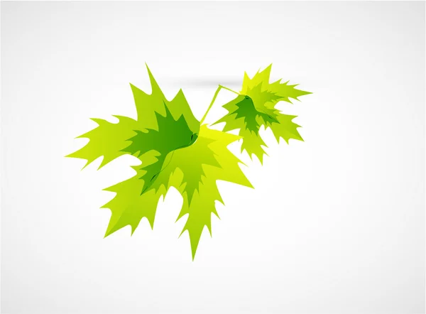 葉の抽象的概念 — ストックベクタ