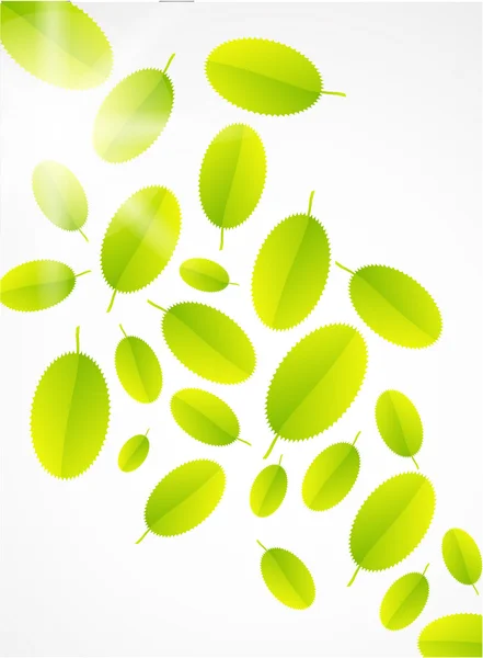 Leaf abstract background — Stock Vector