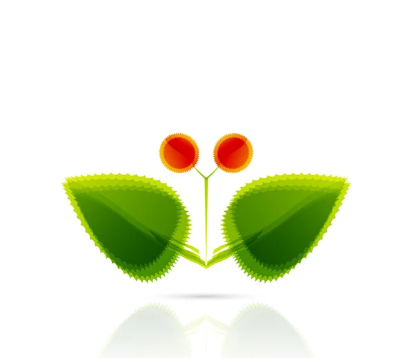 Vector abstract leaf butterfly. Concept de nature — Image vectorielle