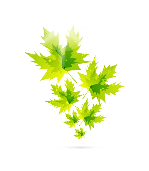 Abstrakt leaf koncept — Stock vektor