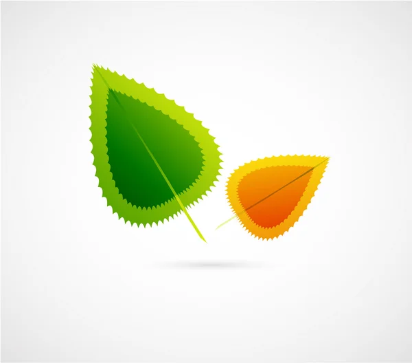 Abstract leaf concept — Stock Vector