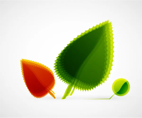 Vector leaf concept — Stock Vector
