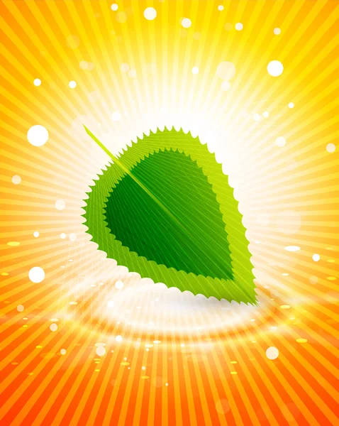 Vecteur fond brillant avec des feuilles — Image vectorielle