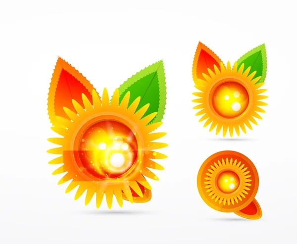 Vector sun leaf concept — Stock Vector