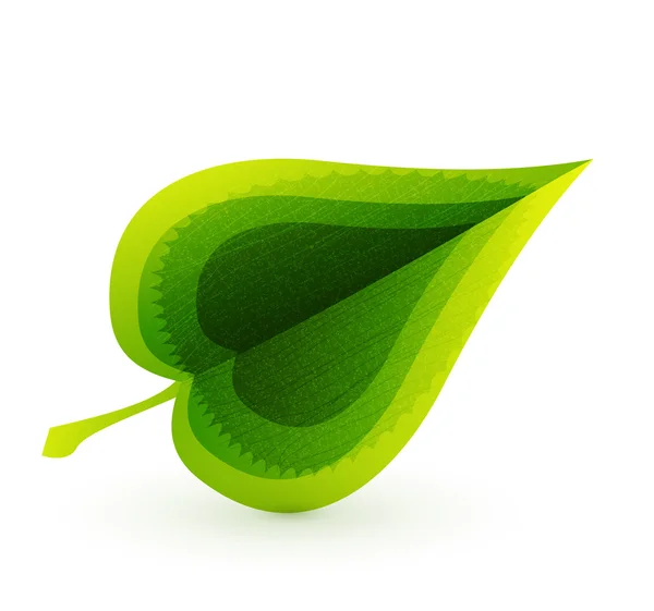 Vektor leaf koncept. natur abstrakt symbol — Stock vektor