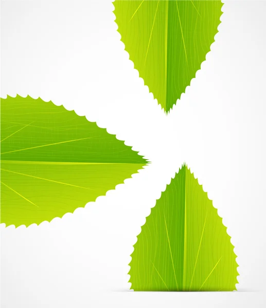 抽象的な葉のデザイン — ストックベクタ