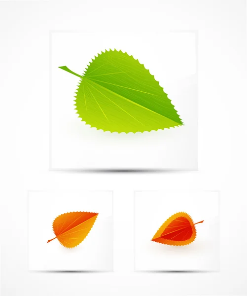Абстрактный дизайн листьев — стоковый вектор