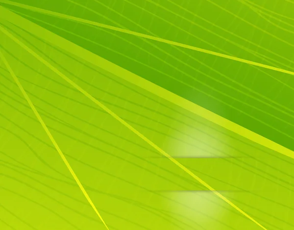 Vector green leaf texture — Stock Vector
