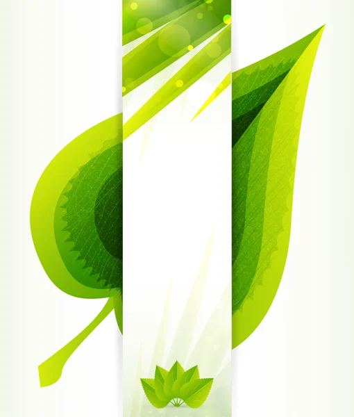 Texture des feuilles vert vecteur — Image vectorielle