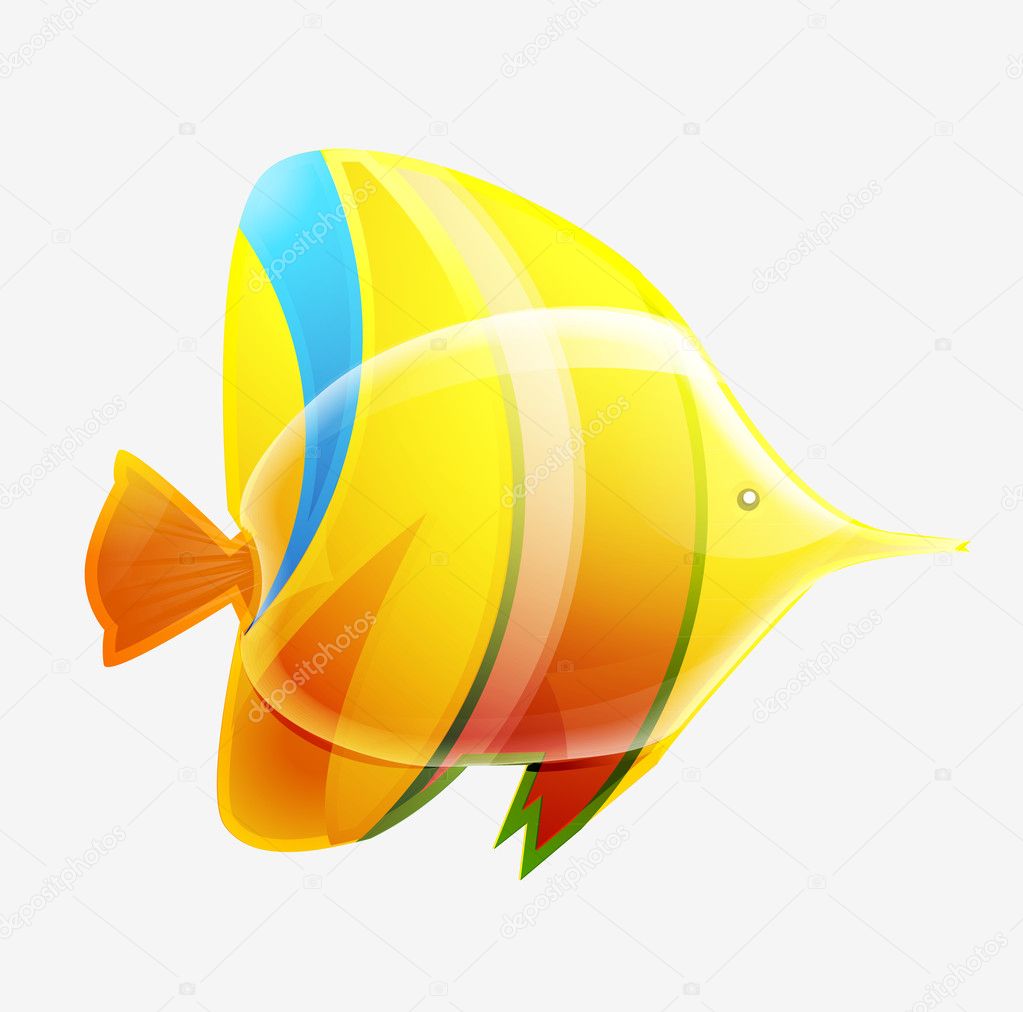 Tropical fish isolated on white