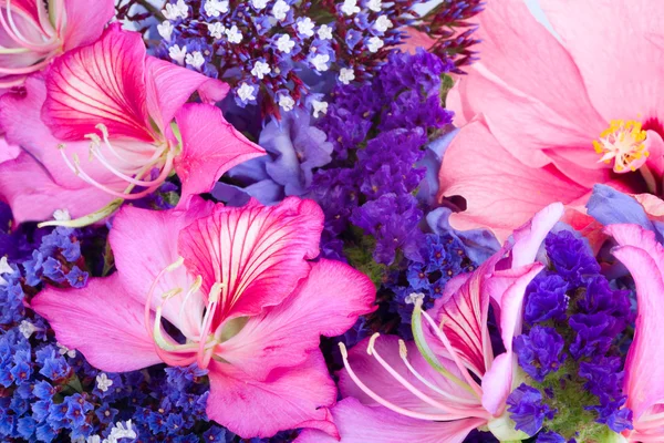Kleurrijke achtergrond van tropische bloemen. — Stockfoto