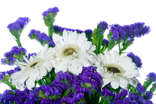Border of spring flowers on a white background — Stock Photo, Image