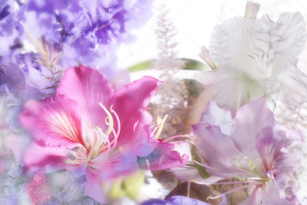 Beautiful flowers made with soft focus