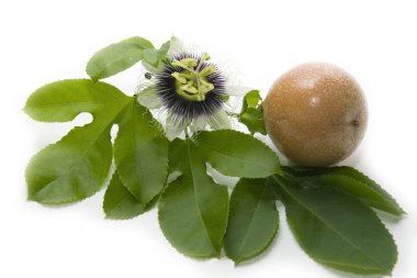 Close up passion fruit and passionflower on white background clipart