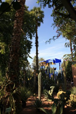 Jardin Majorelle.