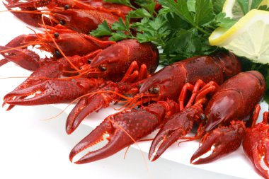 Fresh seafood with herb and lemon clipart