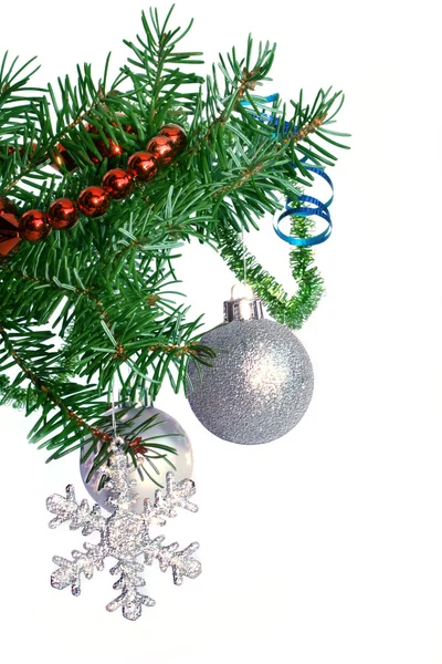 FIR tree förgrena sig med silver bollen på en vit bakgrund. — Stockfoto