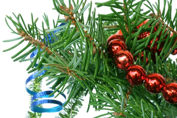 Jodła drzewo gałąź z cristmas ozdoba na białym tle. — Zdjęcie stockowe