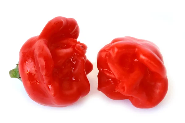 Κόκκινες πιπεριές (γλυκοπίπερο campanilla) σε άσπρο φόντο — Φωτογραφία Αρχείου
