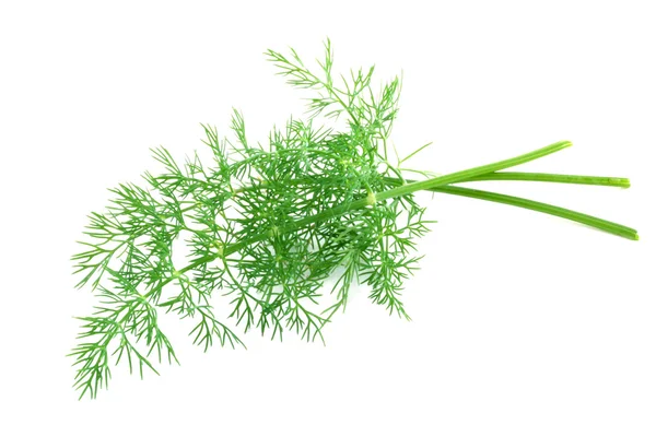 Fresh-picked dill — Stock Photo, Image