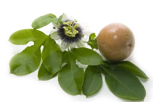 Close up passion fruit and passionflower on white background — Stock Photo, Image
