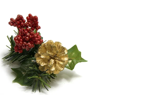 Krásná Vánoční dekorace s kužely a izolované o holly — Stock fotografie
