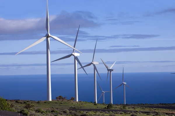Eolic generators in a wind farm — Stock Photo, Image