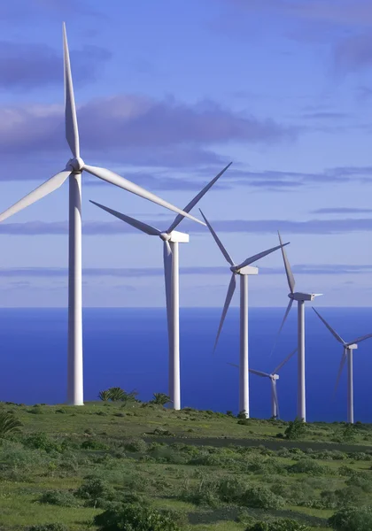 Eolic generators in a wind farm — Stock Photo, Image