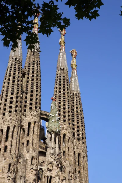 Deatailed view of Sagrada Familia — Stock Photo, Image