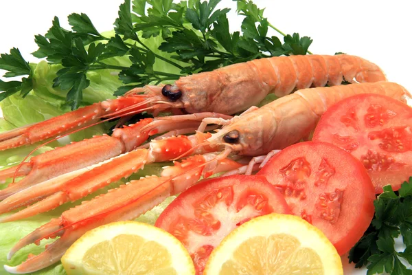 stock image Norway lobster