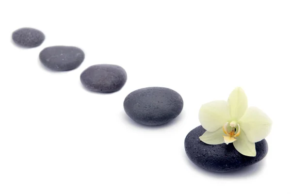 Pedras Zen com flores de orquídeas isoladas. fundo spa — Fotografia de Stock