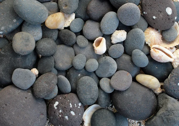 Abstract background with round peeble stones and seashells — Stock Photo, Image